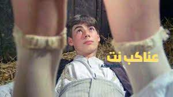 مشاهدة فيلم What Every Frenchwoman Wants 1986 مترجم