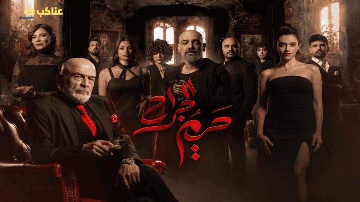 مسلسل حريم الجراح الحلقة 4 الرابعة