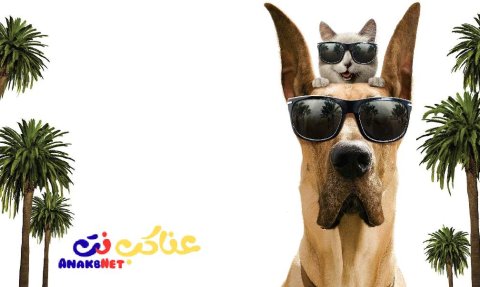 فيلم Marmaduke 2010 مترجم